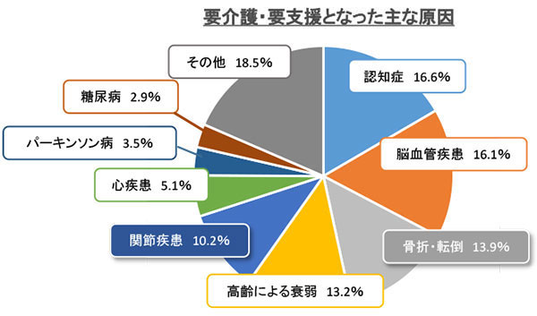 要介護・要支援となった主な原因のグラフ。認知症16.6%脳血管疾患16.1%骨折・転倒13.9%高齢による衰弱13.2%関節疾患10.2%心疾患5.1%パーキンソン病3.5%糖尿病2.9%その他18.5%